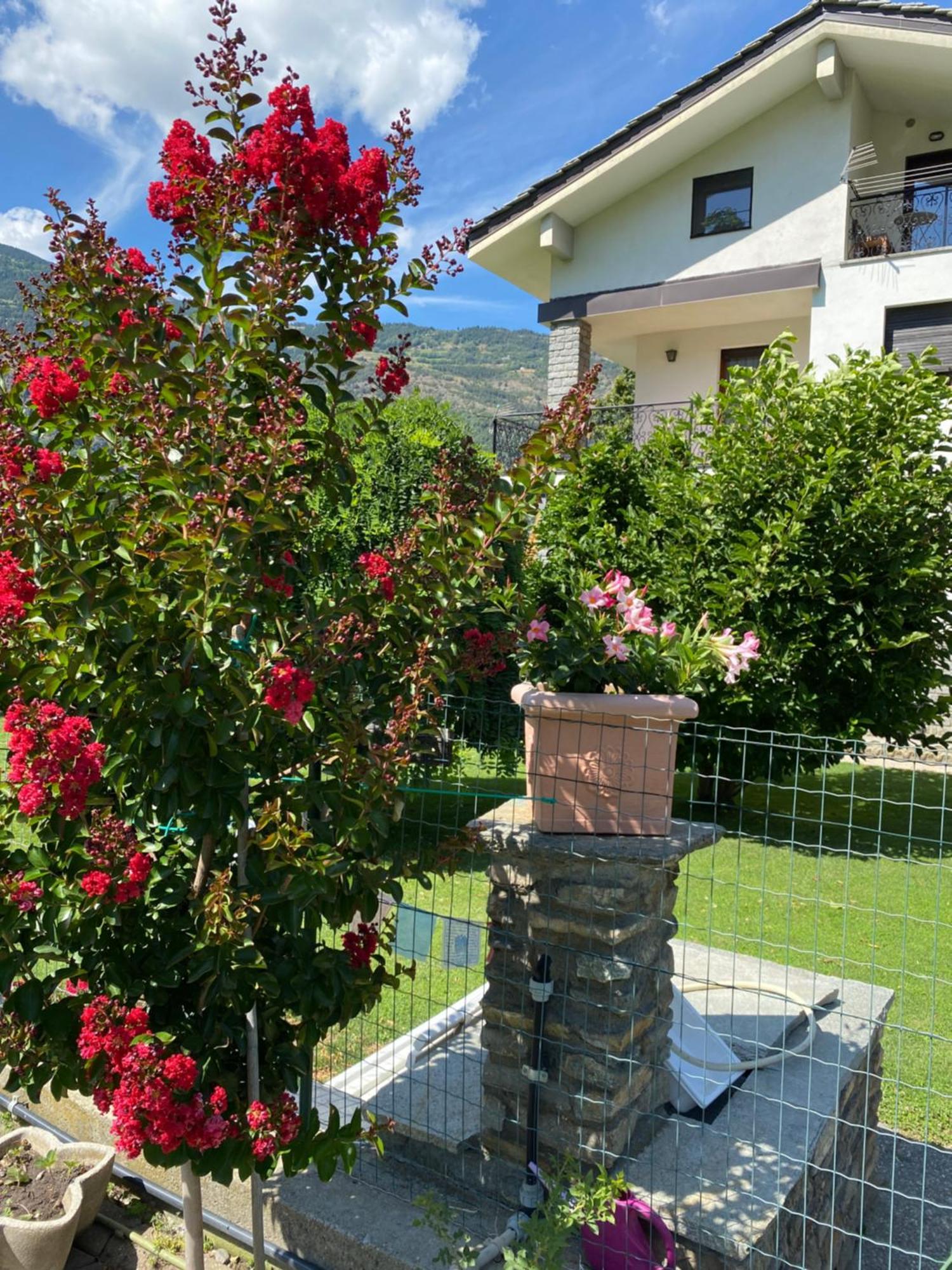 Il Tiglio Gressan Apartamento Aosta Exterior foto